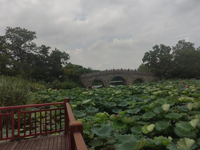 夏日漫步在杭州余杭区安溪古镇小记