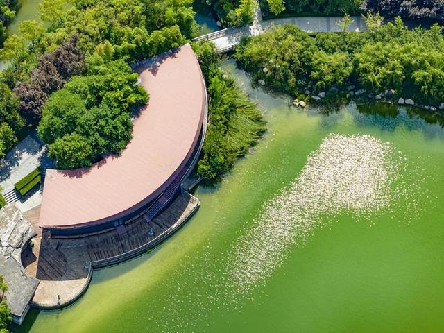 西安中湖公园 绿意盎然 园景如画