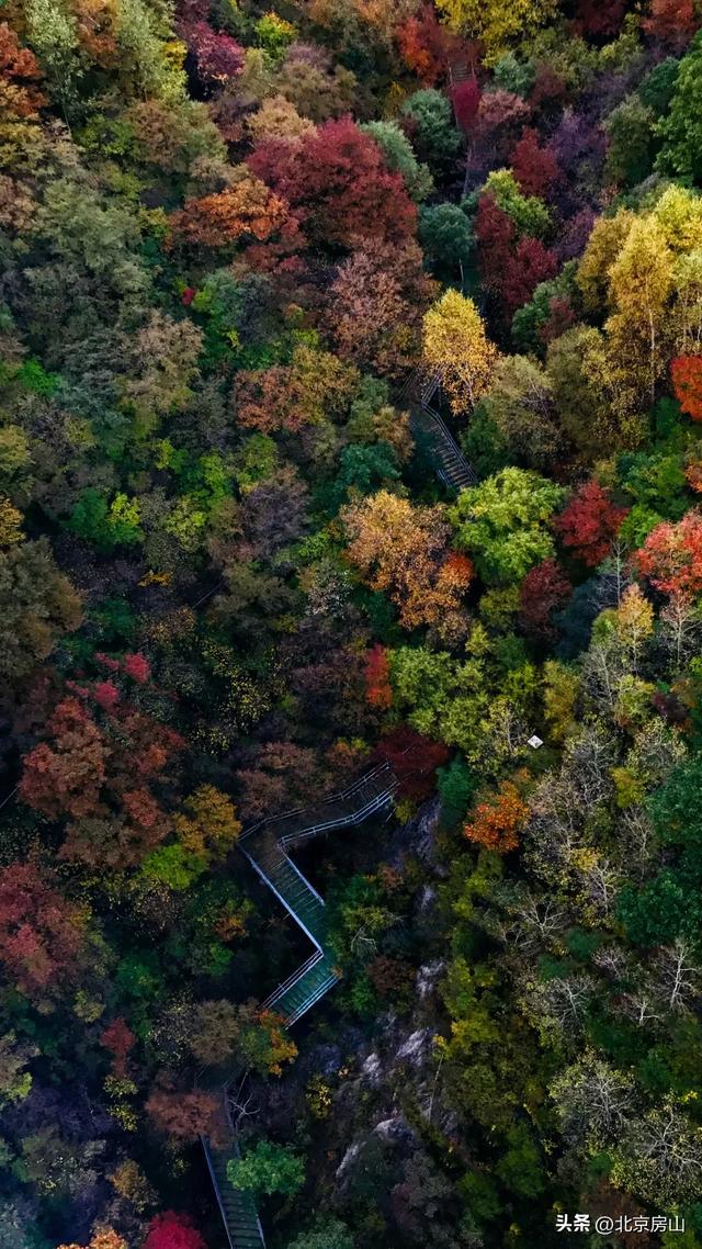 双节游房山,精彩不重样!40余项重点文旅活动,解锁秋日精彩