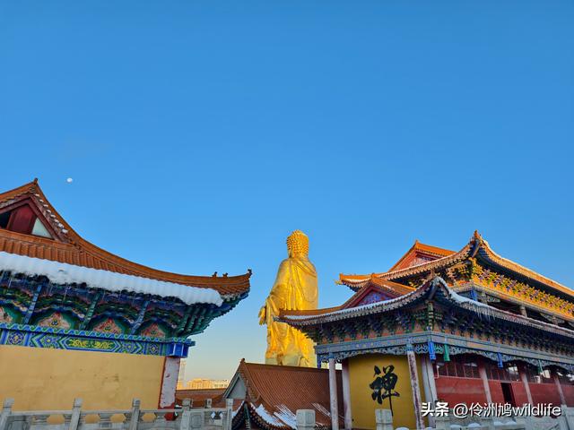新疆乌鲁木齐红光山大佛寺