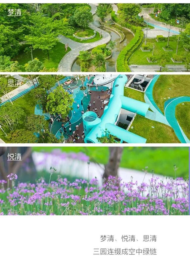 “趣龙岗”打卡新地标！全城玩咖速集结→