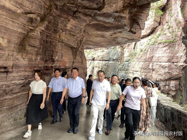 《举起手来》第三部来了