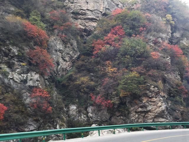 南行漫记：从卢氏走陕西S101红叶大道到南五台服务区露营