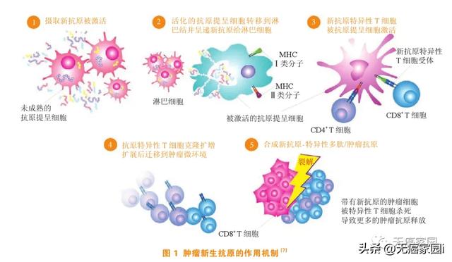 48小时定制抗癌疫苗！AI助力国研mRNA个性化新抗原疫苗获批临床！