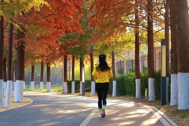 原来真的有城市，可以一天24小时都快乐~（2）