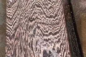 价比黄金！世界上最贵重的十种木材图片