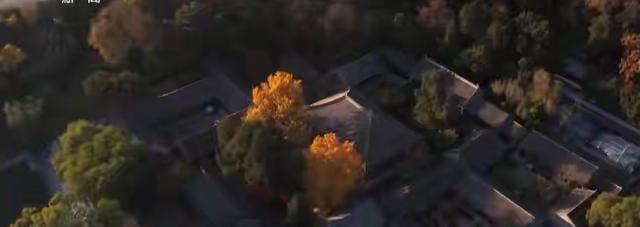 古画里蹦出个春天，文学圈养出个“天堂	”？