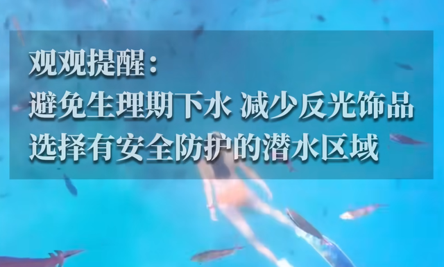 惊险！女子生理期潜水被鲨鱼咬伤，专家：血腥味有刺激