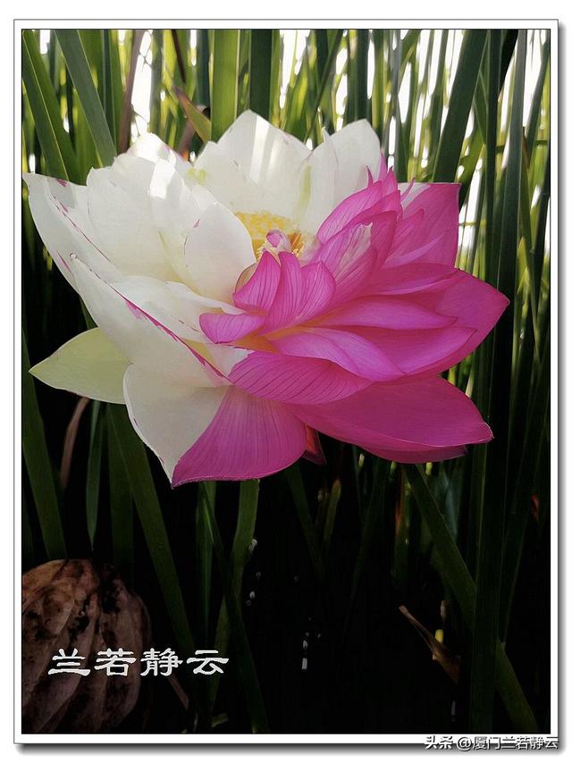 云南普者黑：自由行两日游