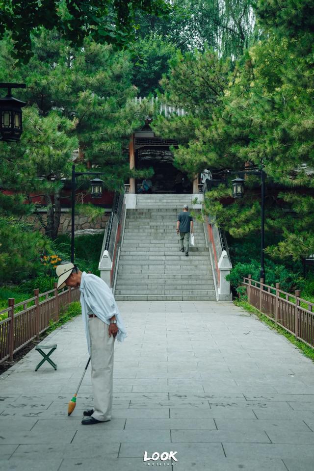 夏天来北京，就为了逛这座公园