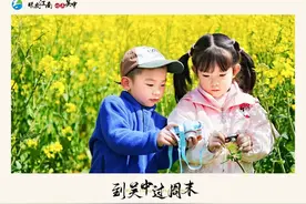 油菜花已开，等你来入镜~图片