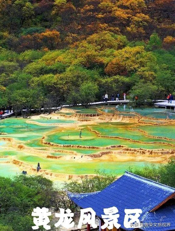 川西秋韵长卷：从九寨秘境到古城烟火