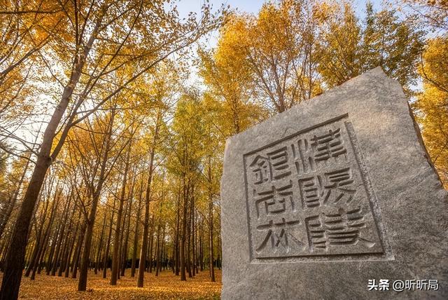 中国最会讲故事的机场，在机场中转等于白捡两千年历史！