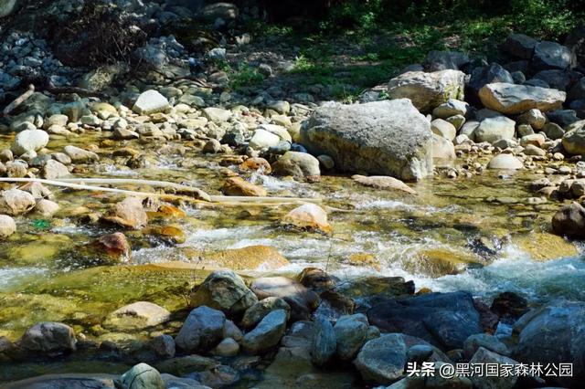 西安人少景美的秋日秘境，这才是秋天该去的地方！