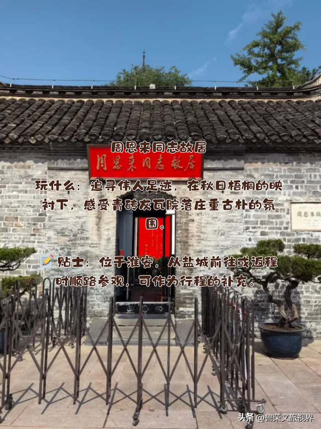 盐城秋日封神攻略：解锁东方湿地的诗意与壮阔