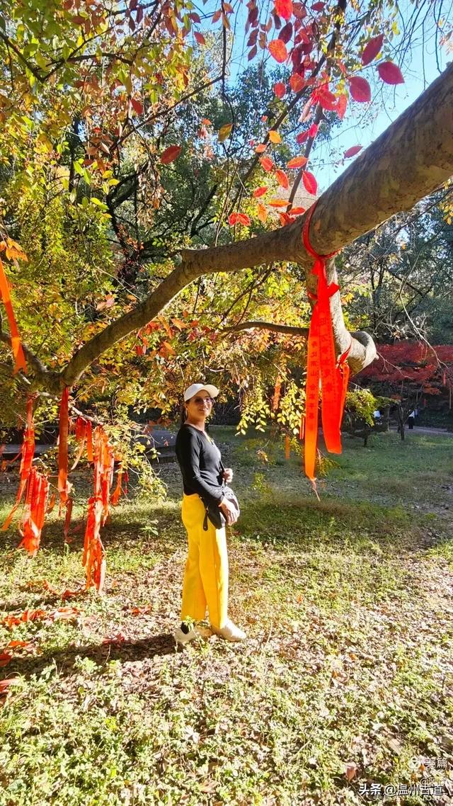秋染浙西,邂逅烂柯仙境的绝美风光!