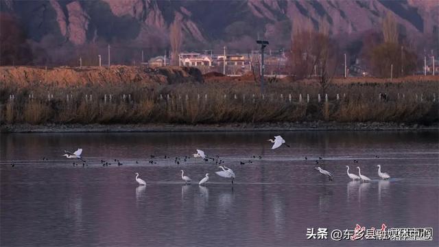 环炳灵湖风情线观光之旅：环湖寻迹，遇见千年丹霞与碧波