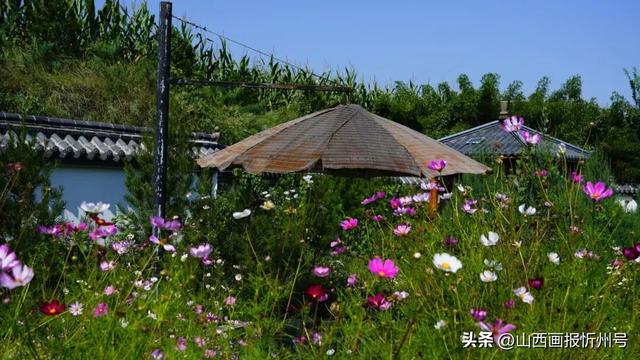 又见奇村 | 你知道吗？南高藏着一个“窑洞秘境”！