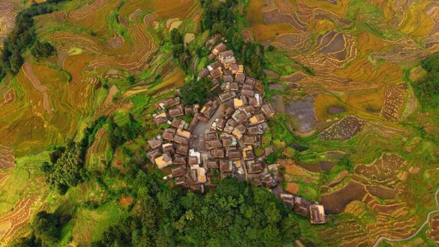 周年限定！快来阿者科当一天“哈尼公主”