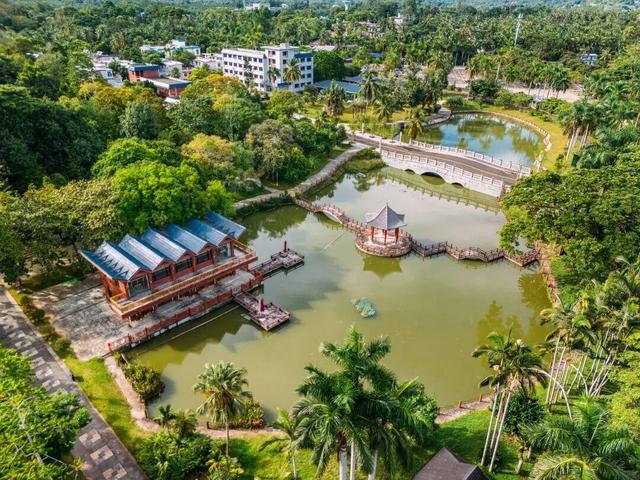 春节游万宁兴隆｜解锁热带归侨的暖冬年味！