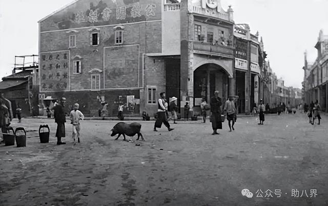 广东惠州十大打卡地（研学版）
