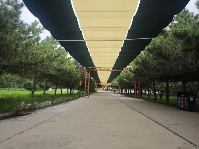 山西及周边随意行之贺兰山 12