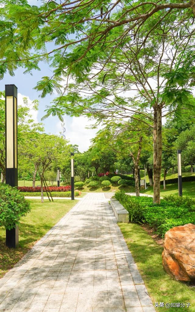 逃离城市热浪！东莞这个秘密花园藏不住了