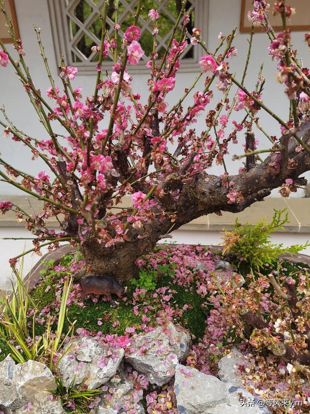 突然发现，上海周边这两个小城，就是个黄金旅游地，妥妥的后花园