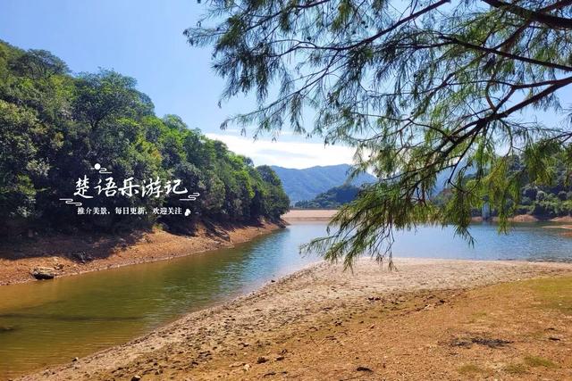 绍兴上虞发现了一处水杉林，面积不大但是清幽而美丽，适合周末游