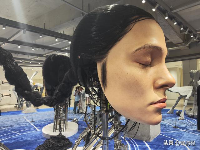 万象天地寻巨人展，感受昆虫王国带来的视觉冲击
