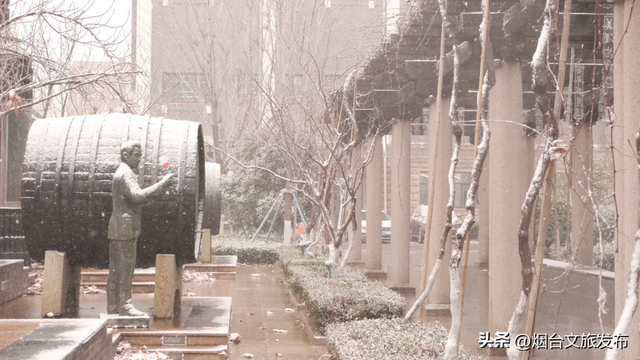 【乐游烟台】烟台这家景区太宠了！免费进、免费喝、免费玩