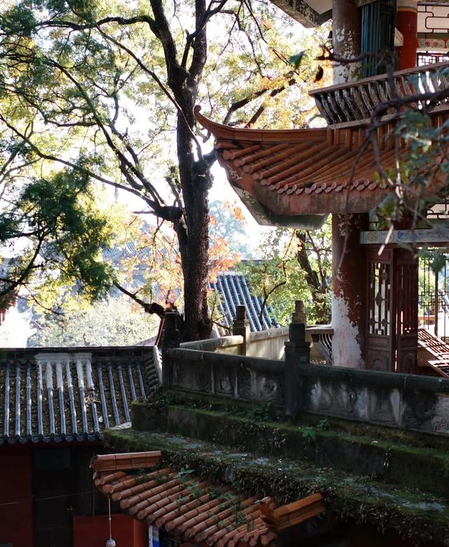 我是杭州人，在四川西昌住了一周，这三点疑问必须说下真不想回杭