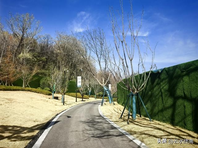 蓝田投资3.5亿，营业3年多被拆的民俗村，现在变成别墅区，你咋看