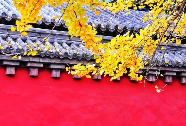 郑州人去了洛阳和开封，直言不讳：洛阳人和开封人的气质截然不同