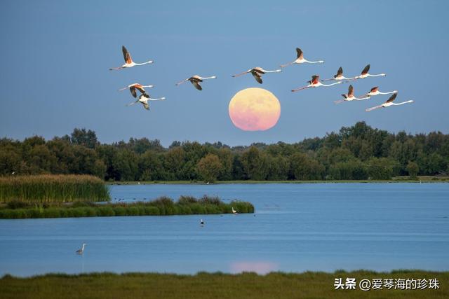 去西班牙别错过！10处联合国认证的世界级美景...