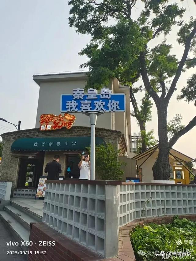漫步西港花园：在山海之间遇见旧时光｜申艳娟