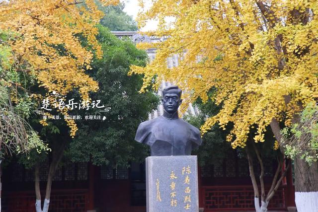 浙江宁波这个小园林被人忽略，但是银杏真是太美了，乌桕也是一绝