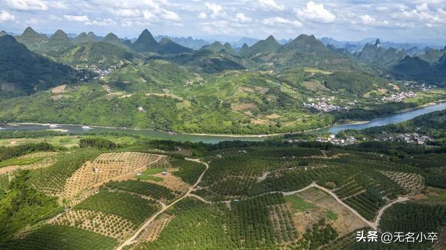 在广西南宁，没想到被水果“教育”了，让我怀疑人生三秒钟