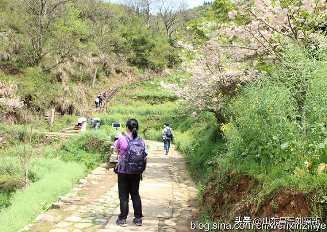 婺源篁岭旅游札记[三]（江西之旅第四十五篇）