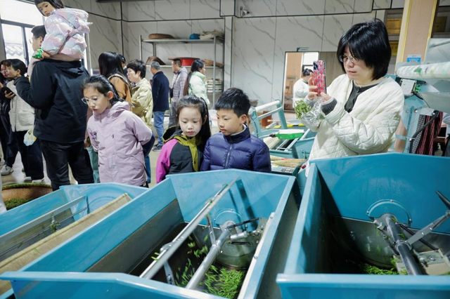 市级精品！富阳五条线路，成功入选！