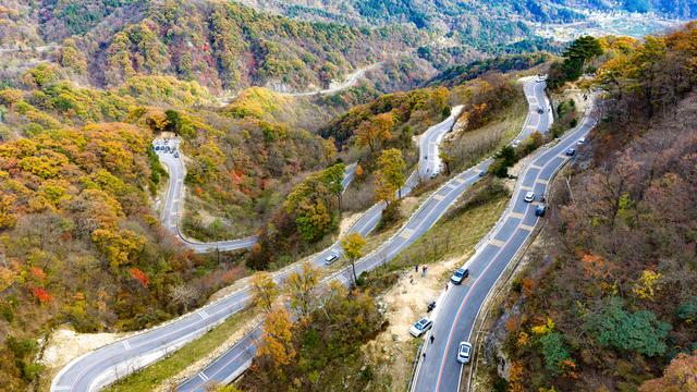 山道弯弯秋色浓