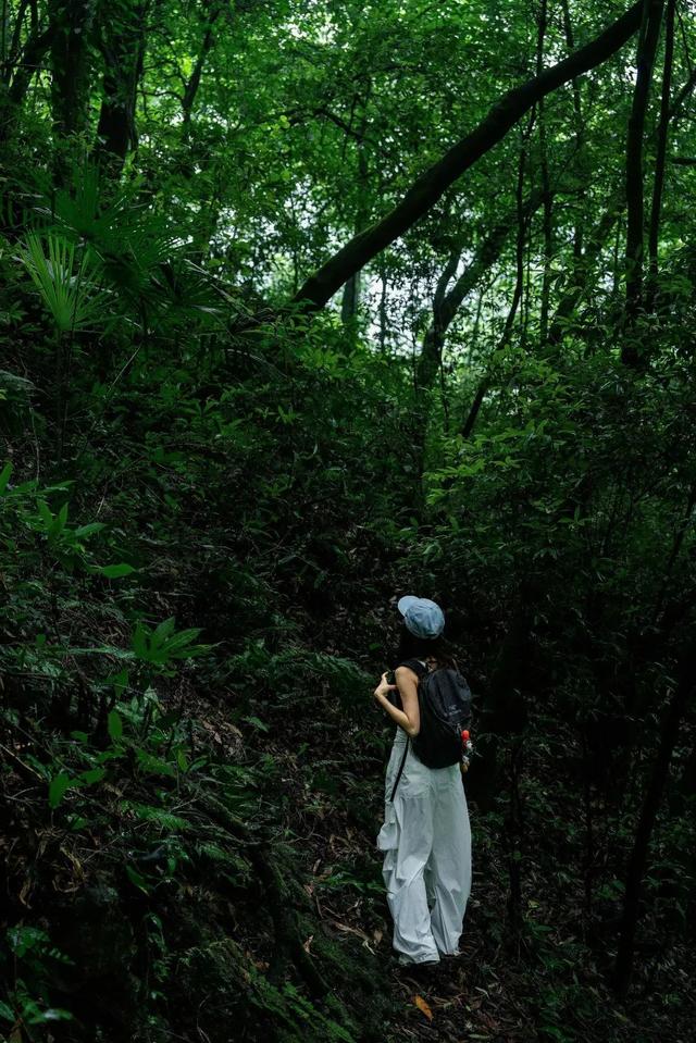 成都1.5h直达的绿野仙踪，打卡瀑布出片胜地！