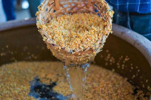 今天，《新华日报》整版聚焦吴中！