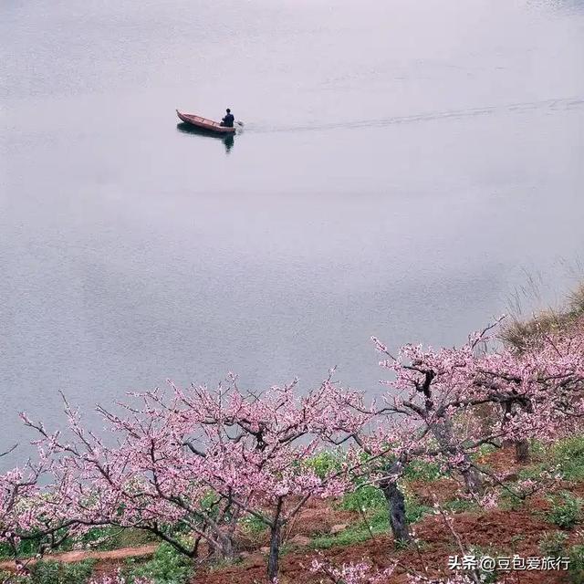 益阳漫游指南——竹海茶香与古巷时光，一场不赶路的湘中之旅
