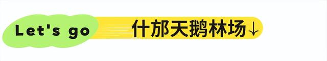 全部免费！成都周边10条最适合9月的徒步线，沿途风光美爆！当天来回不费腿！