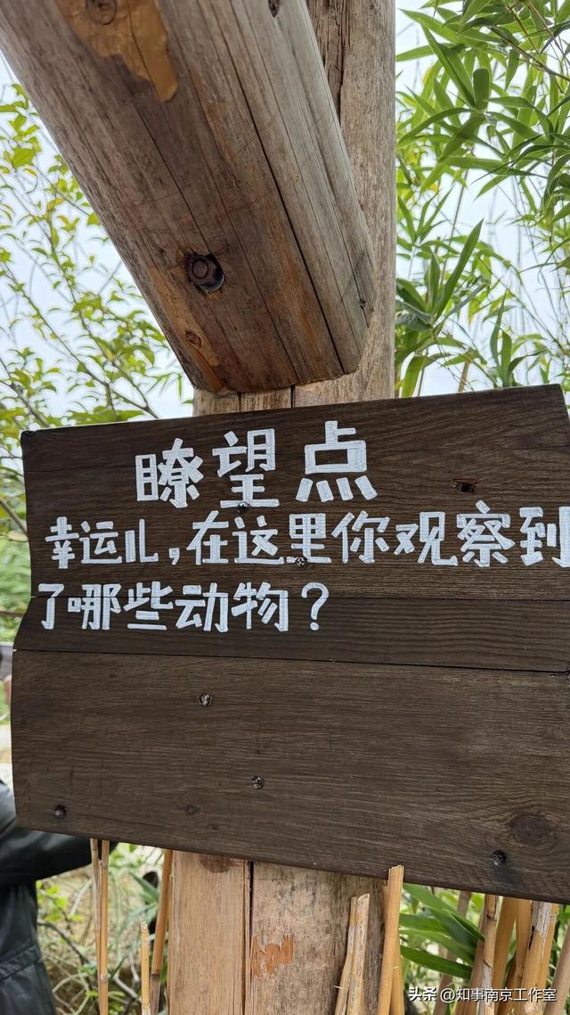 降温天逛红山动物园有多爽？