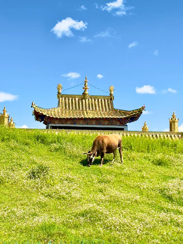 黄河远上白云间（阿坝州若尔盖县黄河九曲第一湾）