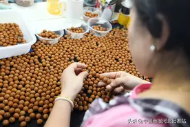 河北隆尧：小手串“串出”致富路图片