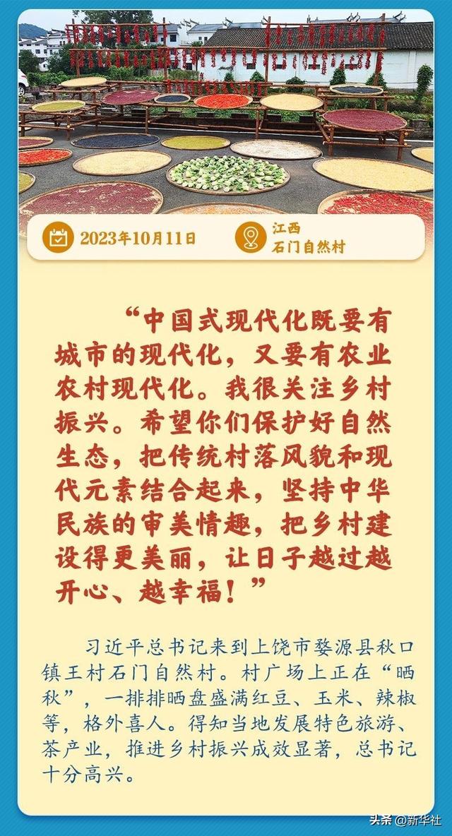学习新语｜总书记引领推动乡村振兴迈出坚实步伐