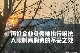 再论企业负债被执行，法院给法人限制高消费的不妥之处图片